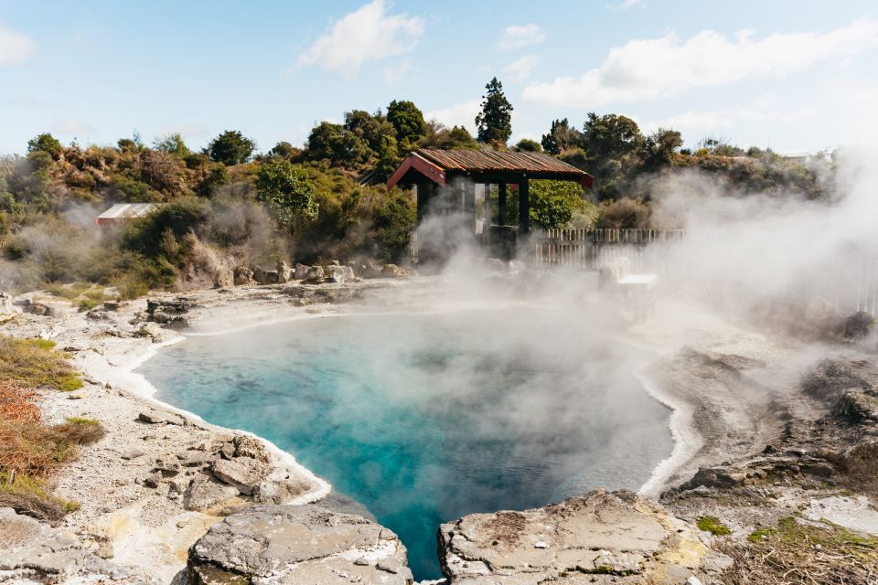 Whaka Village Guided Tour & Self-Guided Geothermal Trails - Key Points