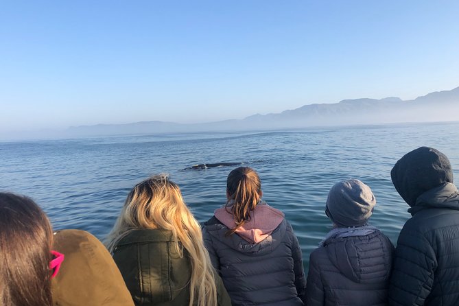 Whale Watching Tour in Hermanus With Hotel Pickup - Key Points