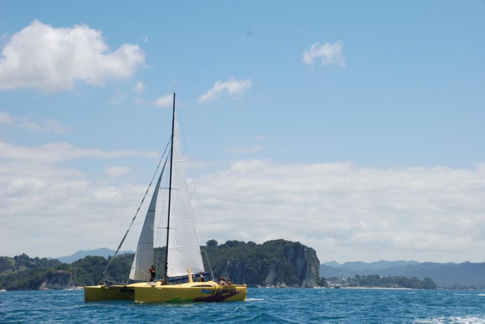 Whitianga: Sailing Trip to Cathedral Cove - Key Points