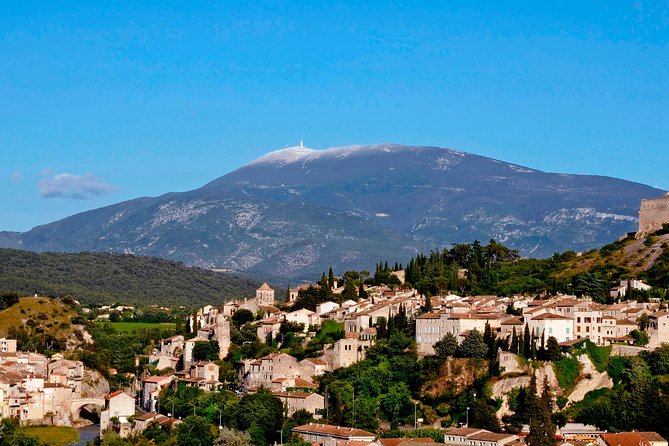 Wine and Cheese Tour in Vaison-La-Romaine and Séguret From Avignon - Key Points