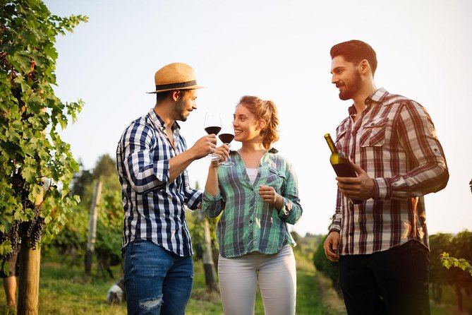 Wine and Local Delicacies Tasting at a Sicilian Traditional Palmento - Key Points