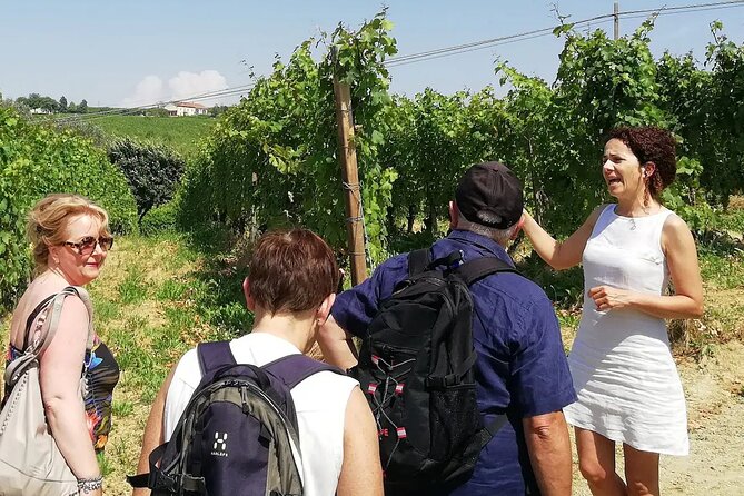 Wine Tour in "Authentic Monferrato" - Key Points