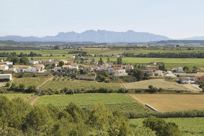 Wine Tour - Penedes Wine Region - (2 Wineries Included) - Key Points