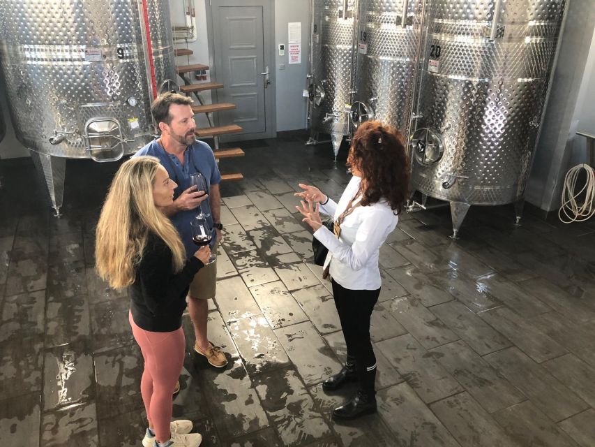 Wine Tour & Tasting in an Organic Winery in Arcadia, Greece - Tour Location