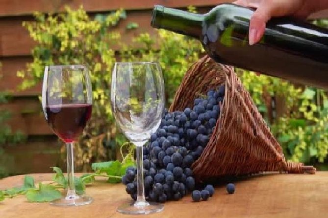 Wine Tours in Wine Country Mendoza Argentina - Key Points