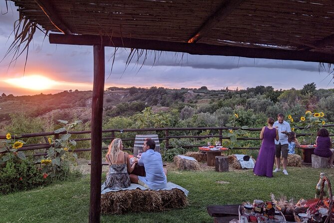 Winery Tour and Tasting at Sunset in the Countryside From Tropea - Key Points