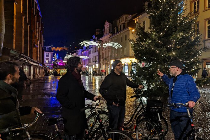 Winter Vibes Bike Tour in Heidelberg - Key Points