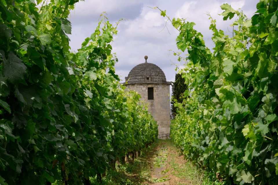 World Heritage Sites & Wineries of Saint Emilion With Lunch - Key Points