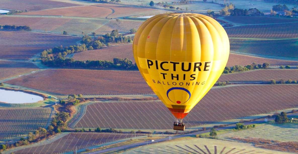 Yarra Valley: Hot Air Balloon Experience - Key Points