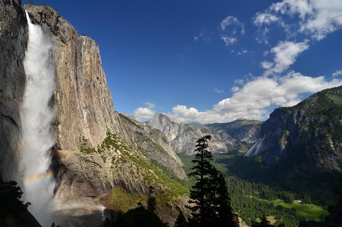 Yosemite and Giant Sequoias Day Tour - Key Points