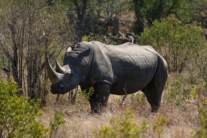 1 12 day delta chobe victoria falls small group safari 12-Day Delta, Chobe & Victoria Falls (Small Group Safari)