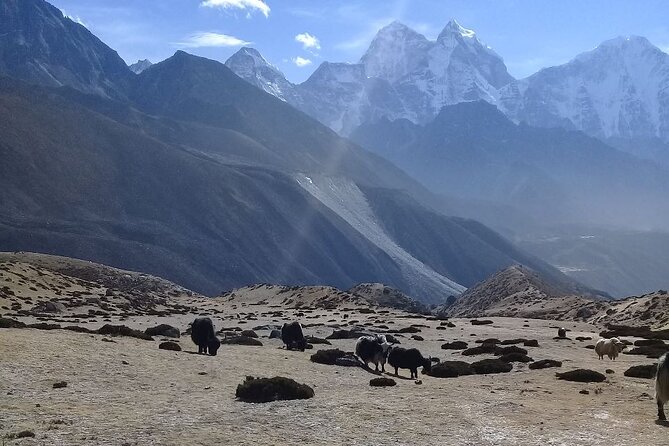 1 15 day private everest base camp trek from nepal 15-Day Private Everest Base Camp Trek From Nepal