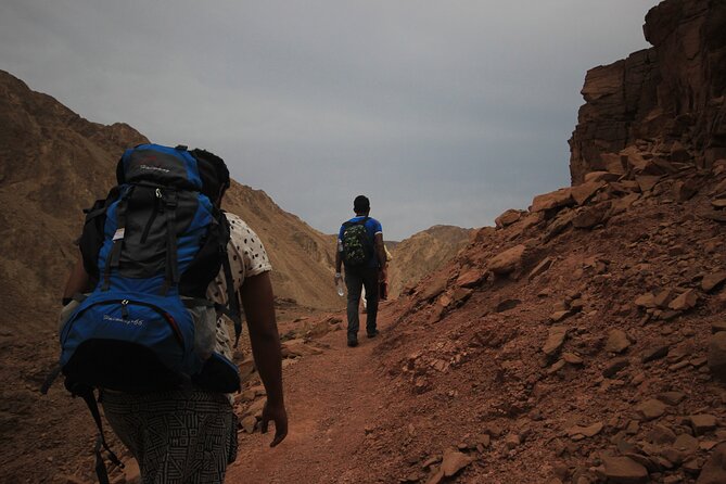 1 3 day small group guided hiking expedition in the sinai desert 3-Day Small-Group Guided Hiking Expedition in the Sinai Desert