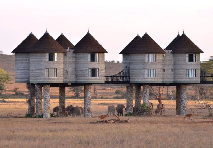 3 Days Safari to Saltlick Lodge From Nairobi