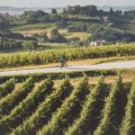 1 3 hour bike tour and wine in tuscany nobiles path 3-Hour Bike Tour and Wine in Tuscany: Nobiles Path