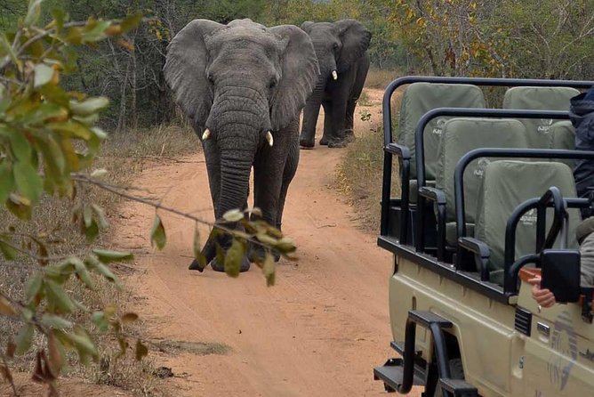 4 Day Greater Kruger Kapama Game Lodge Safari With Panorama Route Journey