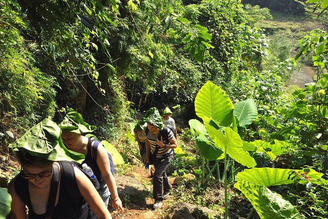 1 4 day jungle trekking in ba be national park 4-Day Jungle Trekking in Ba Be National Park
