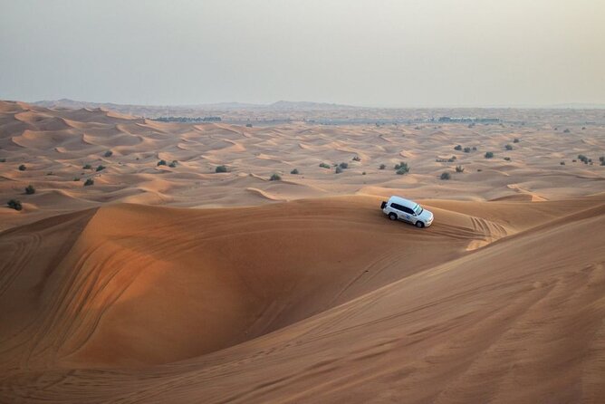 1 4 hour dubai morning desert safari adventure with a private guide 4-Hour Dubai Morning Desert Safari Adventure With a Private Guide