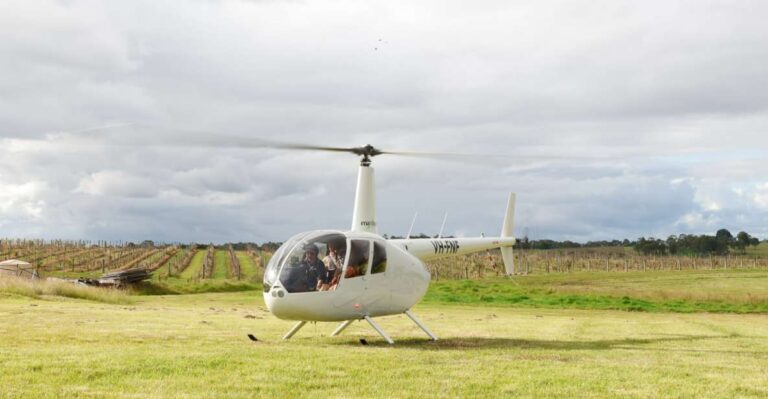 45 Minute Helicopter Scenic Flight Hunter Valley