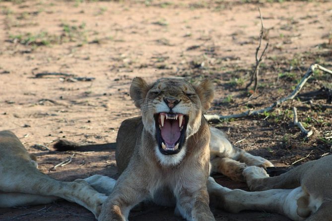 5 Day Greater Kruger National Park Adventure Safari