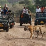 1 5 days golden triangle tour with ranthambore tiger safari 5 Days Golden Triangle Tour With Ranthambore Tiger Safari