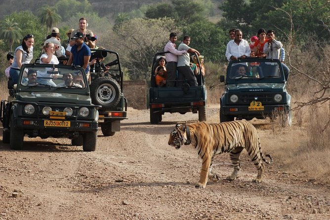 1 5 days golden triangle tour with ranthambore tiger safari 5 Days Golden Triangle Tour With Ranthambore Tiger Safari