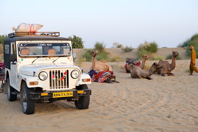 1 8 hours private tour in thar desert with dinner 8 Hours Private Tour in Thar Desert With Dinner