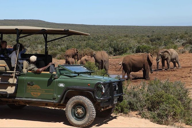 1 9 day garden route karoo and addo wonders 9 Day Garden Route, Karoo and Addo Wonders