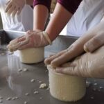 1 abruzzo cheese making workshop pescara Abruzzo Cheese-Making Workshop - Pescara