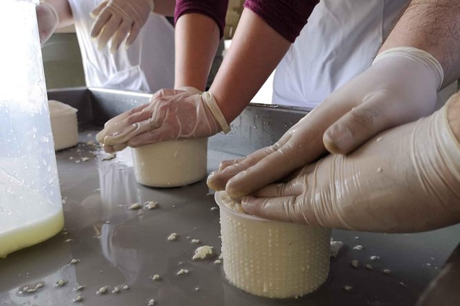 Abruzzo Cheese-Making Workshop  – Pescara
