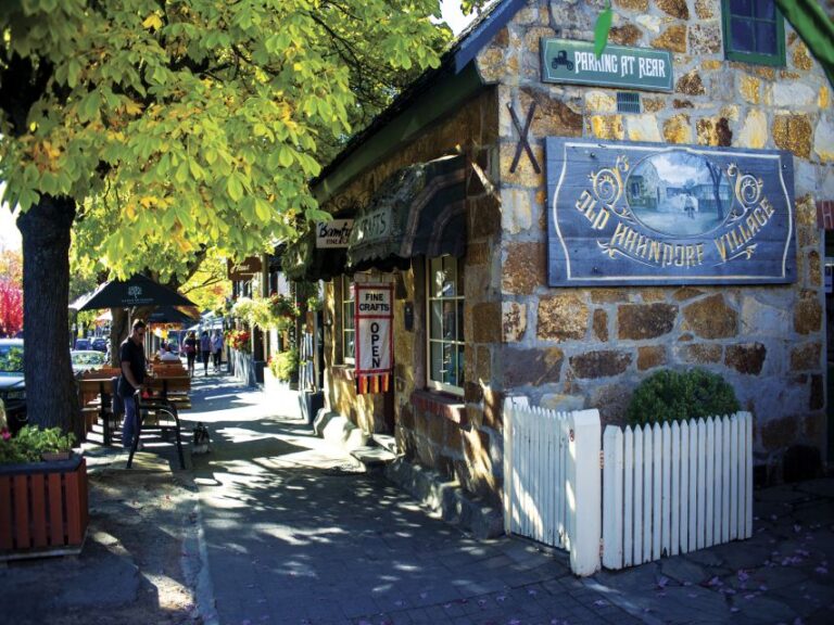 Adelaide: Adelaide Hills and Hahndorf Guided Tour With Lunch