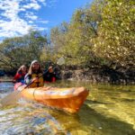 1 adelaide dolphin sanctuary mangroves kayak tour Adelaide: Dolphin Sanctuary Mangroves Kayak Tour