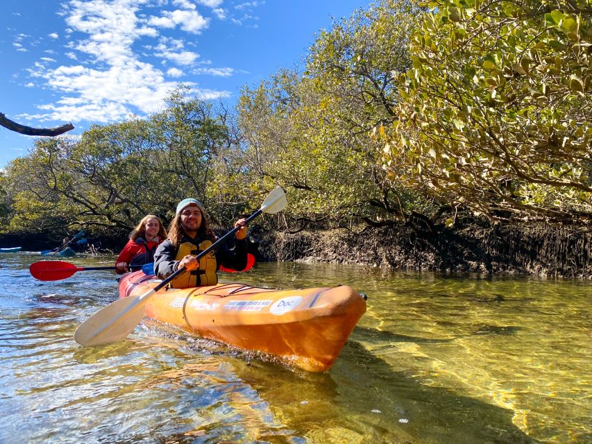 Adelaide: Dolphin Sanctuary Mangroves Kayak Tour - Inclusions
