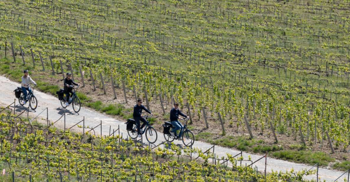 1 afternoon e bike champagne tour from reims Afternoon E-Bike Champagne Tour From Reims