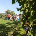 1 afternoon wine tour in touraine from tours or amboise Afternoon- Wine Tour in Touraine From Tours or Amboise