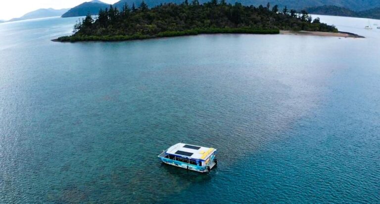 Airlie Beach: Glass-Bottom Boat Tour