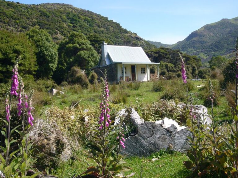 Akaroa: 24-hour Overnight Pohatu Penguin Package