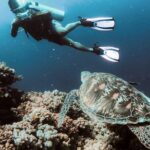 1 alanya scuba diving tour with free hotel transfer Alanya Scuba Diving Tour With Free Hotel Transfer