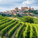 1 alba barolo castle alfieri vineyards and truffle lunch Alba: Barolo Castle, Alfieri Vineyards, and Truffle Lunch