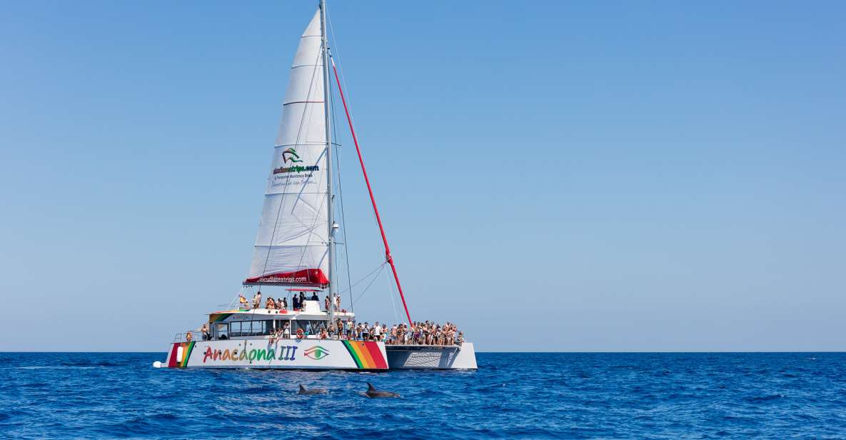 1 alcudia sunset catamaran tour with dinner and snorkeling Alcudia: Sunset Catamaran Tour With Dinner and Snorkeling