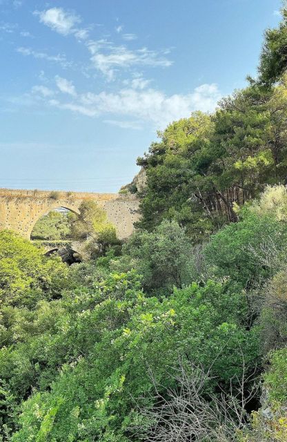 All-Day Knossos Palace Tour & Olive Mill Visit