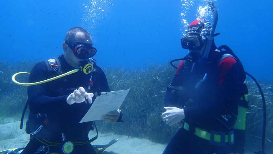 1 andros get your padi open water certificate Andros: Get Your Padi Open Water Certificate!