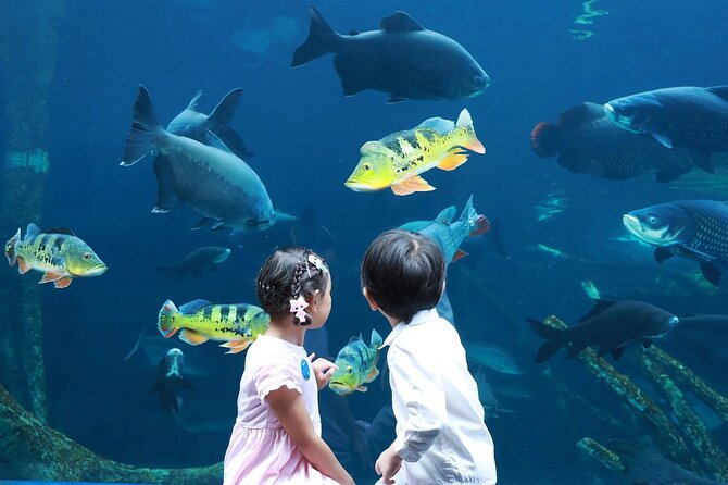 AquARia Phuket and AR Trick Eye Museum Entrance Ticket – Thailand