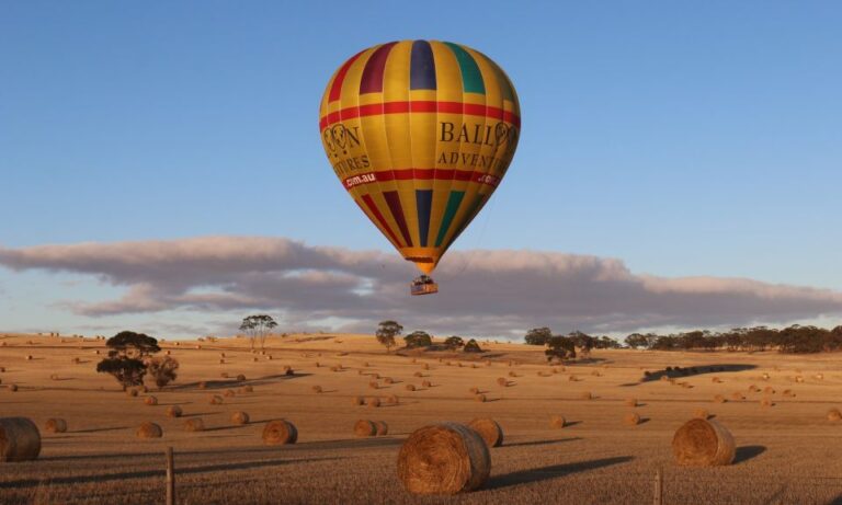 Barossa Valley: Hot Air Balloon Flight