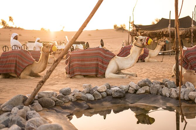 Bedouin Culture Desert Safari in Dubai - Adventure Activities Included