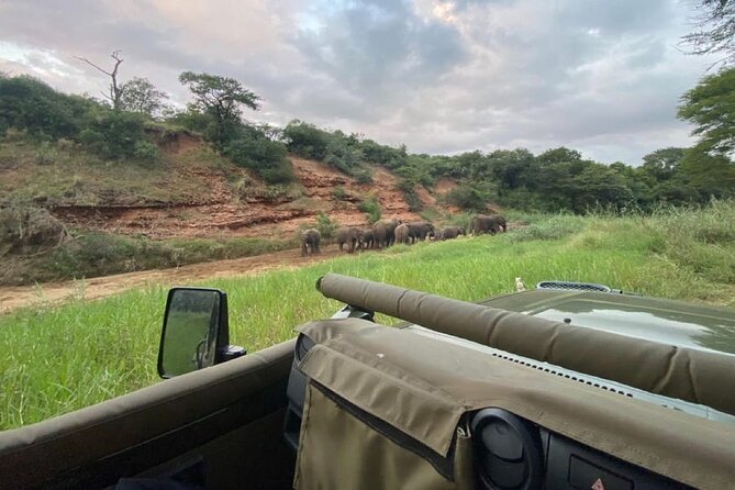 Big 5 Luxury Safari at Manyoni Private Game Reserve Binoculars