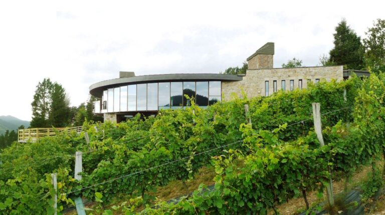 Bilbao: Organic Winery Visit With Tasting