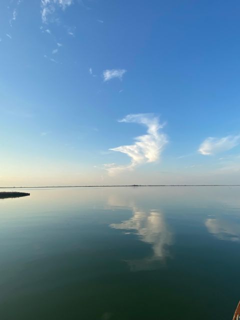 Birdwatching: in Laguna Di Venezia