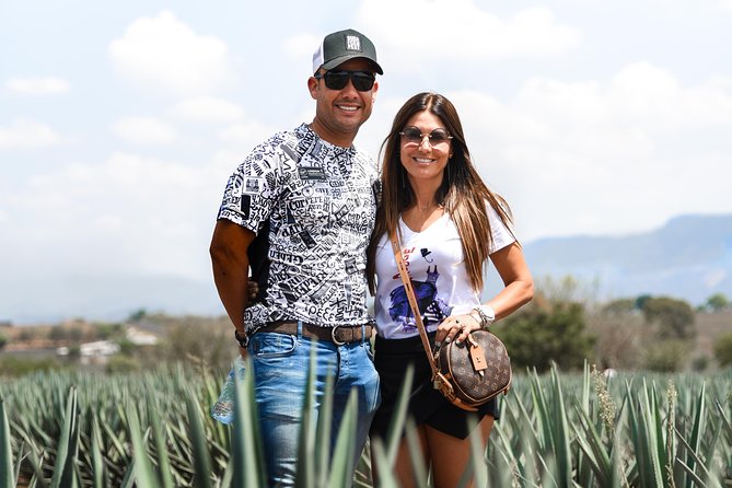 1 blue agave fields at ruta del tequila with tasting guadalajara Blue Agave Fields at Ruta Del Tequila, With Tasting - Guadalajara