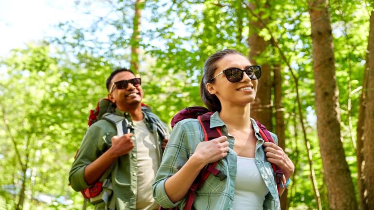 Blue Ridge Parkway (South): Driving Tour With Audio Guide